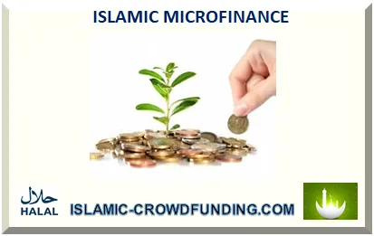 ISLAMIC MICROFINANCE WITHOUT RIBA 2025